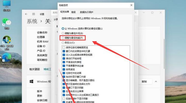 探索Win10中隐藏文件格式的奥秘（隐藏文件格式的操作方法及注意事项）
