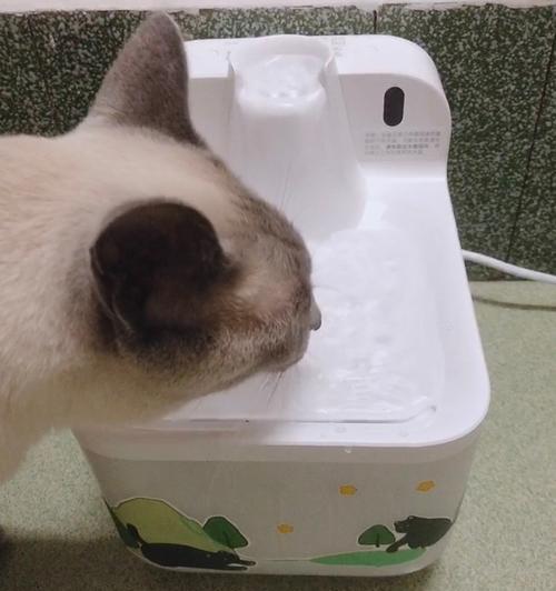 彻底清洗猫咪饮水机的方法（保持饮水机清洁可为猫咪提供健康水源）