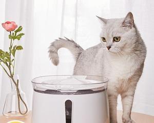彻底清洗猫咪饮水机的方法（保持饮水机清洁可为猫咪提供健康水源）