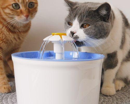 彻底清洗猫咪饮水机的方法（保持饮水机清洁可为猫咪提供健康水源）
