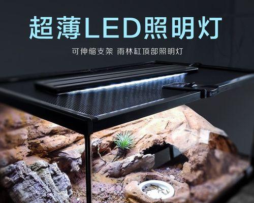LED灯发出弱光的原因及影响（探究LED灯发出弱光的原因与对环境的影响）