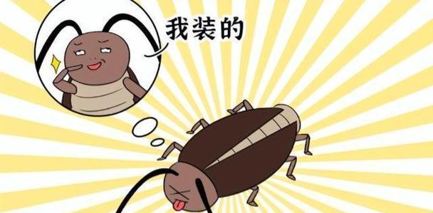 应对咖啡机蟑螂入侵的有效方法（保持卫生）