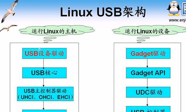 如何重新安装USB驱动程序？教程步骤是什么？