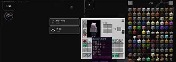 如何在Minecraft中使用获得隐藏方块的mod？常见问题有哪些？