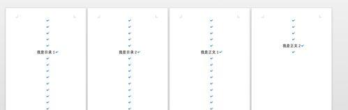 如何在文档中设置目录下一页的页码？页码设置常见问题解答？