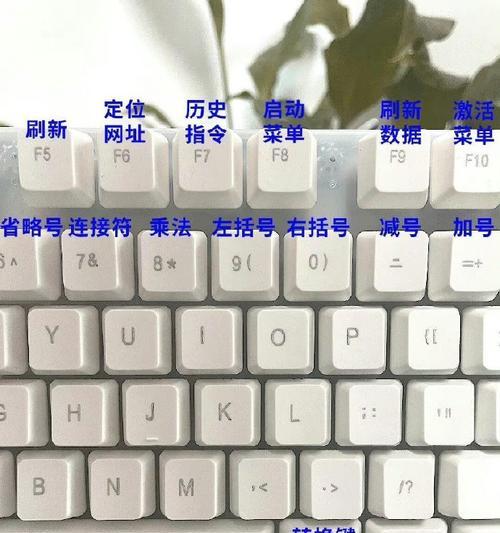 电脑键盘全图详细是什么？如何查看和使用？