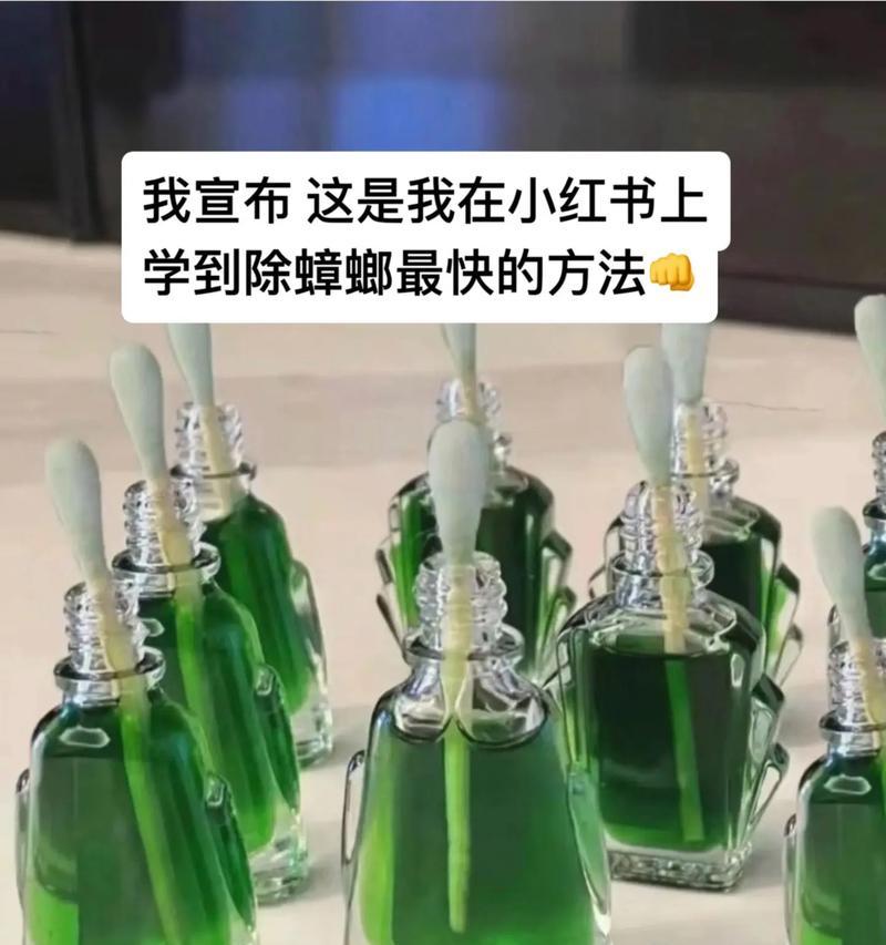 如何彻底消灭蟑螂？分享最有效的灭蟑技巧！