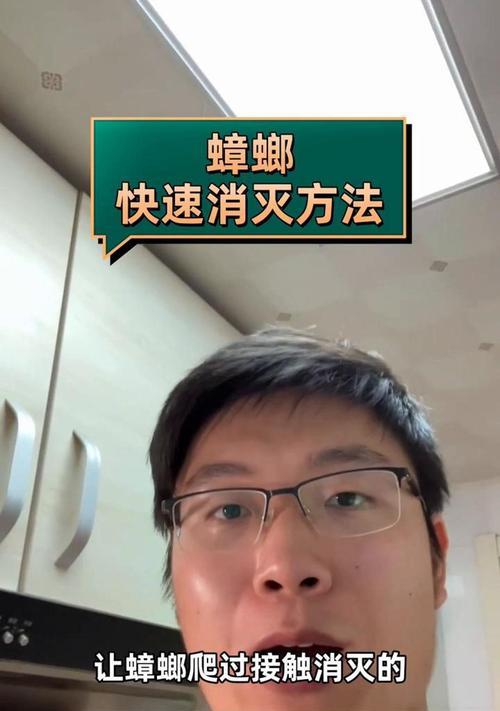 如何彻底消灭蟑螂？分享最有效的灭蟑技巧！