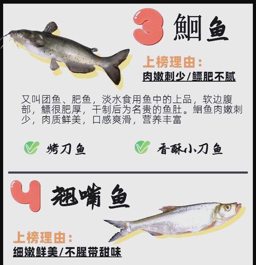 四大家鱼是什么？它们的特征和养殖方法有哪些？
