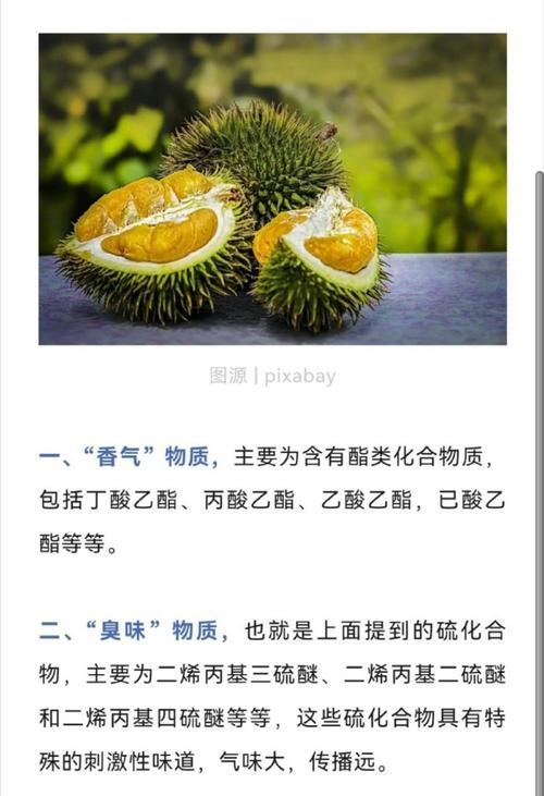 为什么榴莲价格昂贵？了解榴莲贵的原因是什么？
