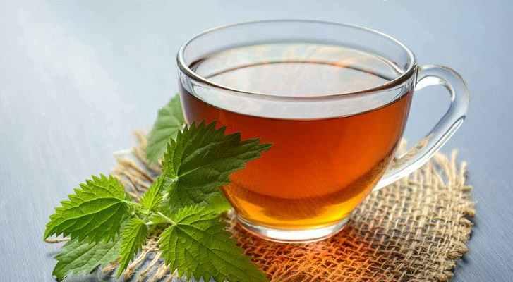 老广东人最爱的三款茶叶是什么？它们的特色和功效有哪些？