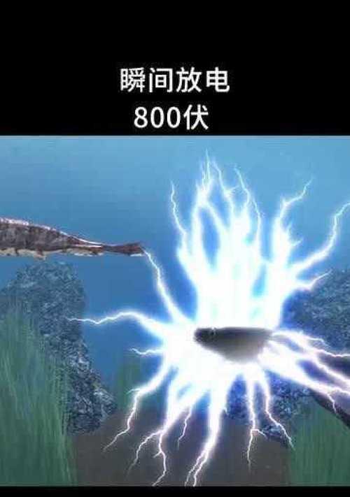 电鳗是如何放电的？放电原理有哪些科学解释？