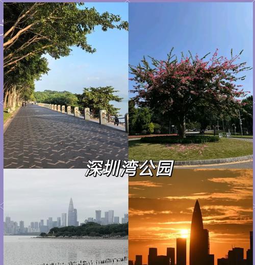 深圳游玩攻略必去的地方？有哪些不容错过的景点？
