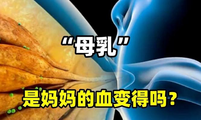 母乳是如何产生的？了解母乳产生过程中的常见问题