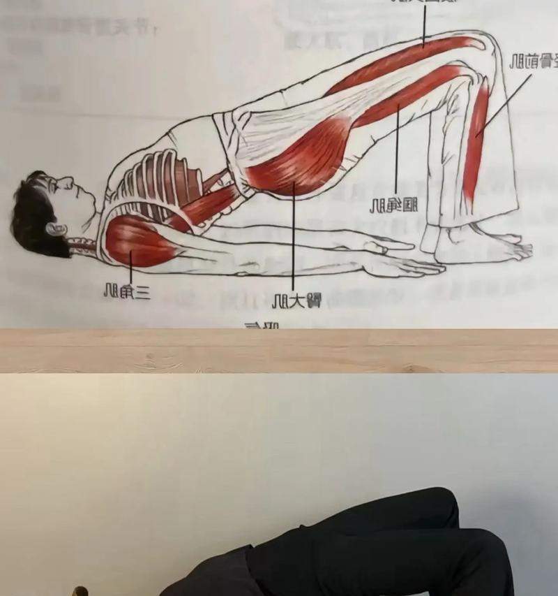 骨盆前倾最快纠正法是什么？如何快速有效地进行纠正？