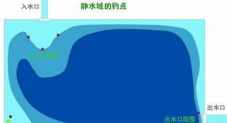 水草多的水域垂钓技巧是什么？如何应对水草多的水域垂钓难题？