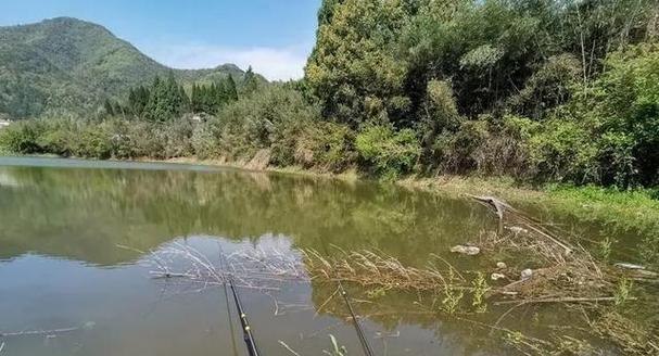 水草多的水域垂钓技巧是什么？如何应对水草多的水域垂钓难题？