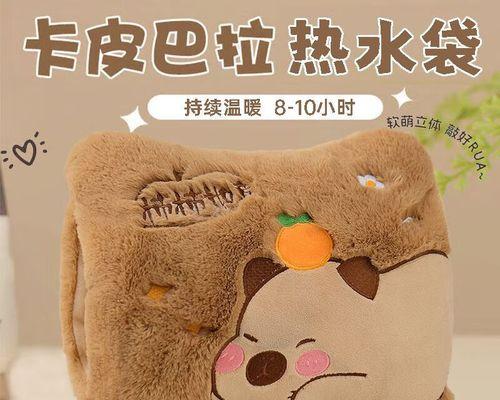 暖水袋大的充电器具体名称是什么？