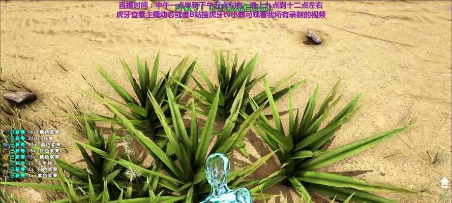 方舟最新绿色服务器有何特点？如何加入绿色服务器？