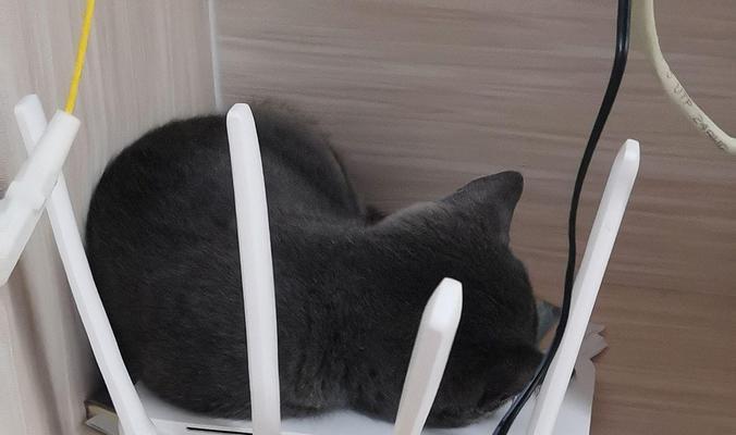 酷数客机顶盒连接wifi步骤？连接失败如何排查问题？