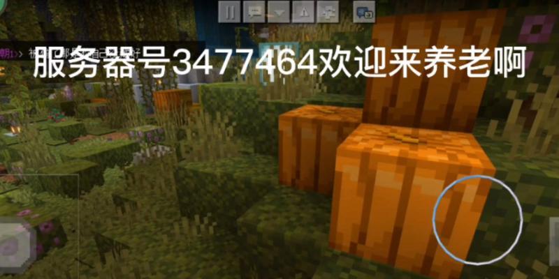 网易服务器哪个国家最火？如何选择最佳服务器？
