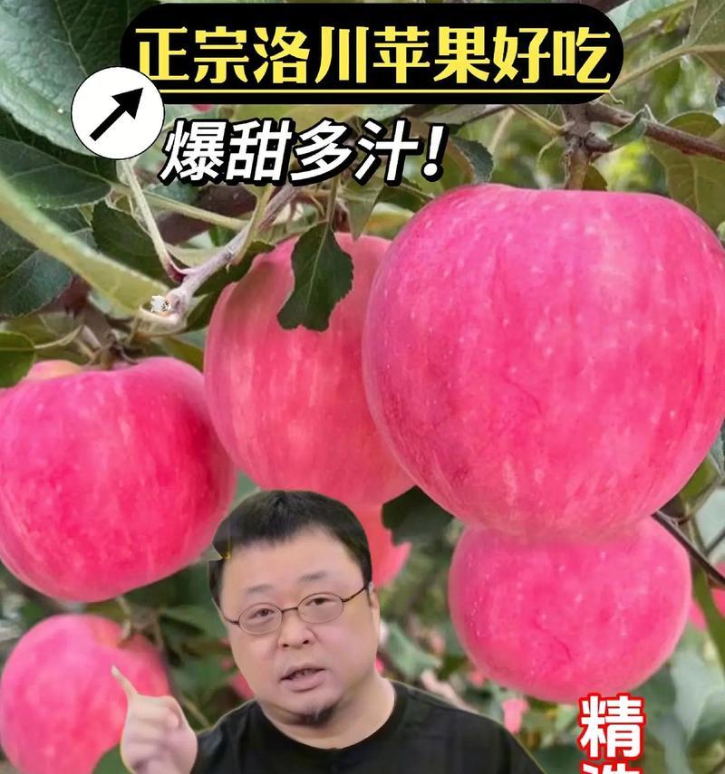 罗永浩直播间购买苹果手机流程？