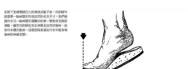 佳能ec8新手使用指南和常见问题解答？