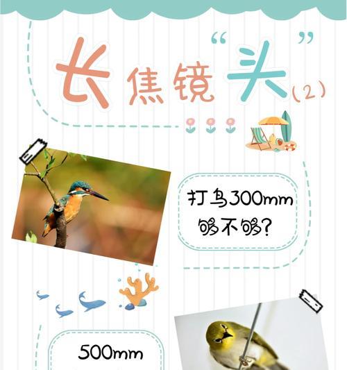 相机长焦镜头拆卸教程？如何安全拆卸相机长焦镜头？