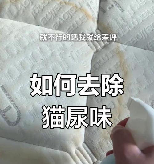 显示器被猫尿污染后如何彻底清洁？