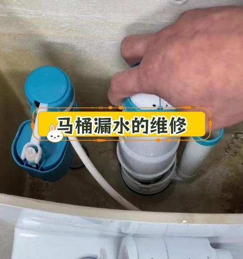 如何解决惠达马桶排水阀漏水问题（排水阀漏水原因及故障解决方法详解）