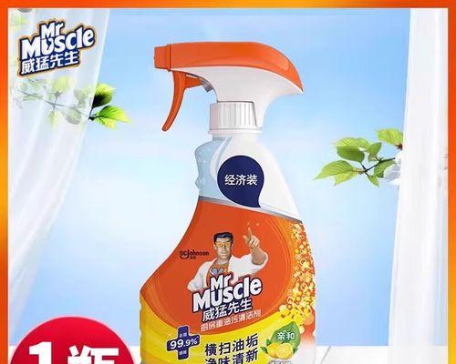 如何有效清洗吸油烟机油垢（学会这些方法，让吸油烟机保持高效运转）