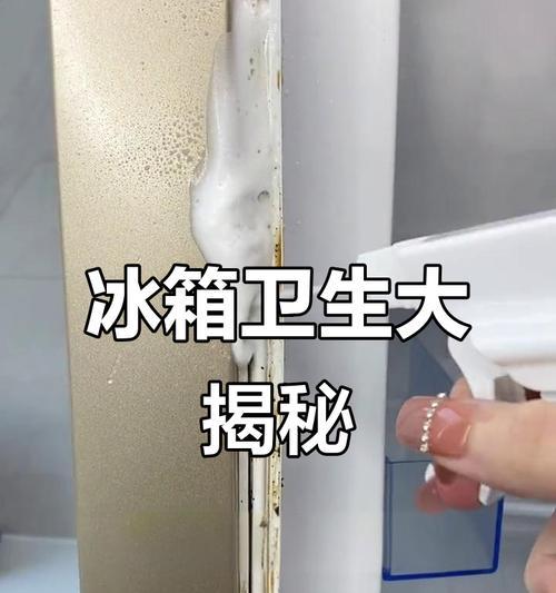如何正确清洗冰箱（让冰箱焕然一新，延长使用寿命）