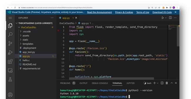 VS Code Server 本地 Docker 部署+贝锐花生壳内网穿透远程访问教程
