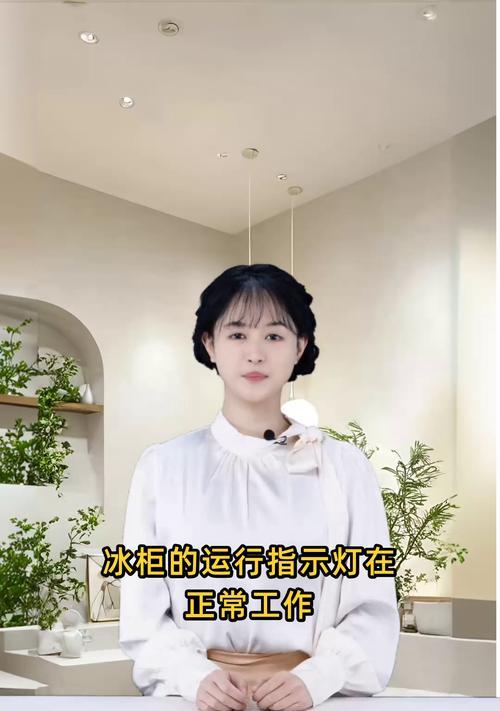 冰柜灯不亮的解决方法（如何修复冰柜中灯不亮的问题）