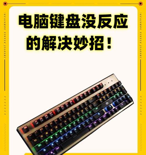 电脑键盘失灵的原因和解决方法（探究电脑键盘无法使用的常见问题及其解决办法）