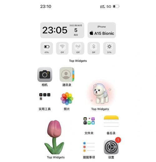 揭秘网红桌面布局，打造苹果13个性化界面（网红桌面布局的设计技巧与应用）
