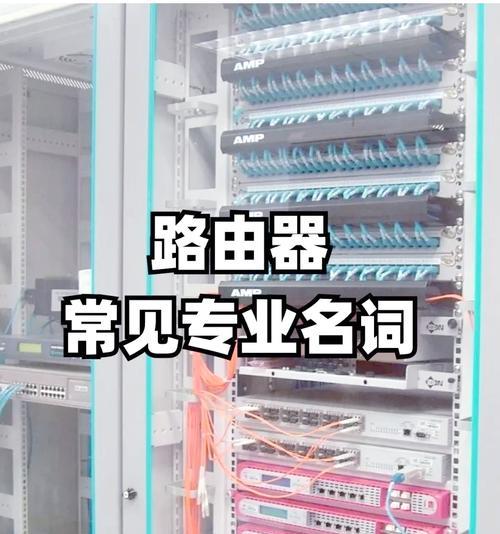 路由器与交换机的区别（网络设备的选择与应用）