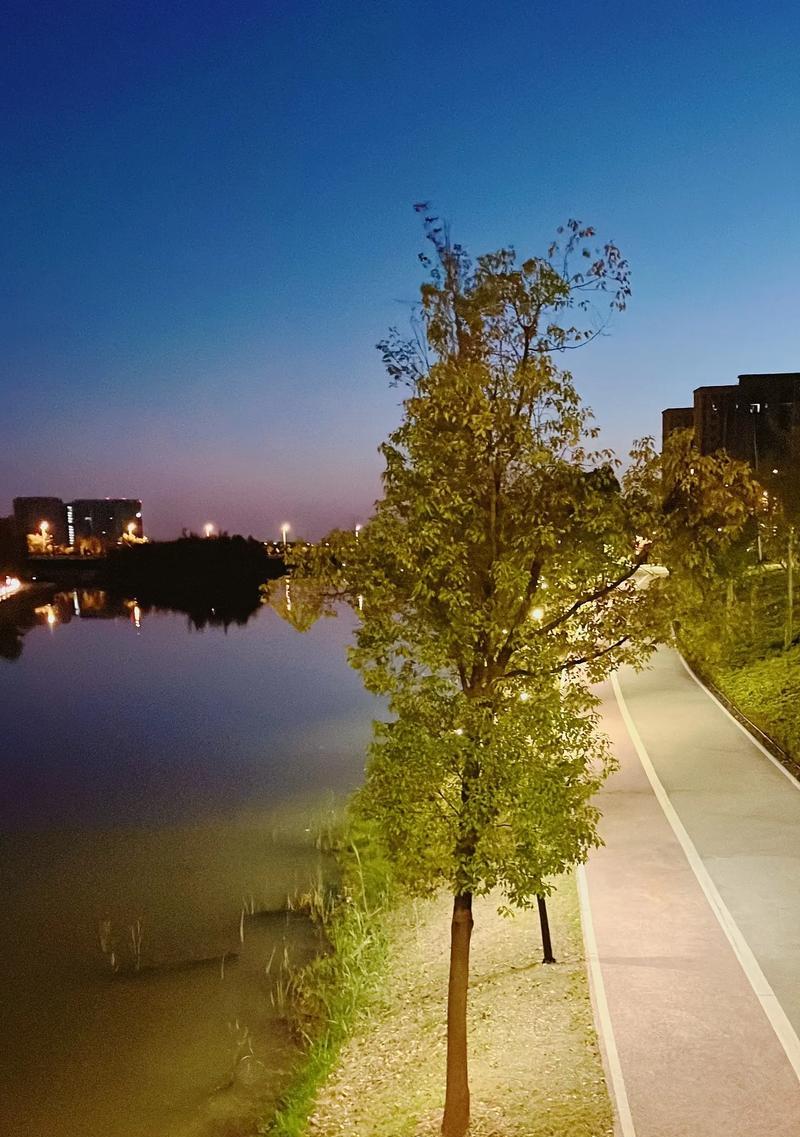 小米手机晚上公园怎么拍？夜间拍照的技巧有哪些？